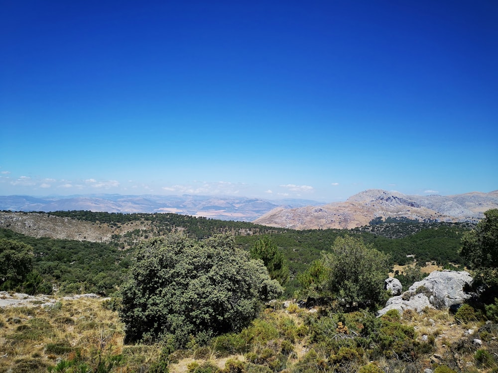 landscape photo of mountains during daytime