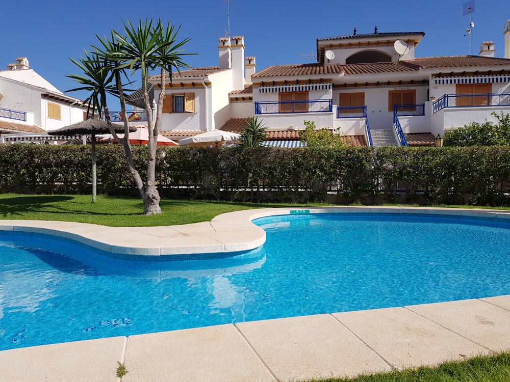 white and blue swimming pool near white and brown house