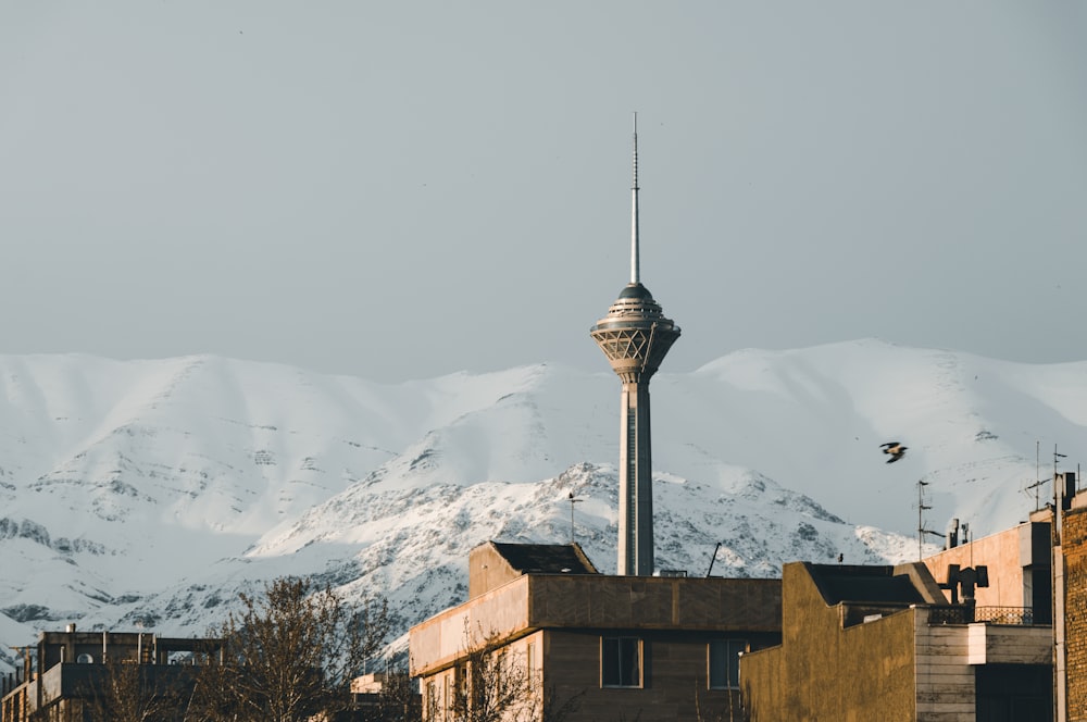 gray high-rise building