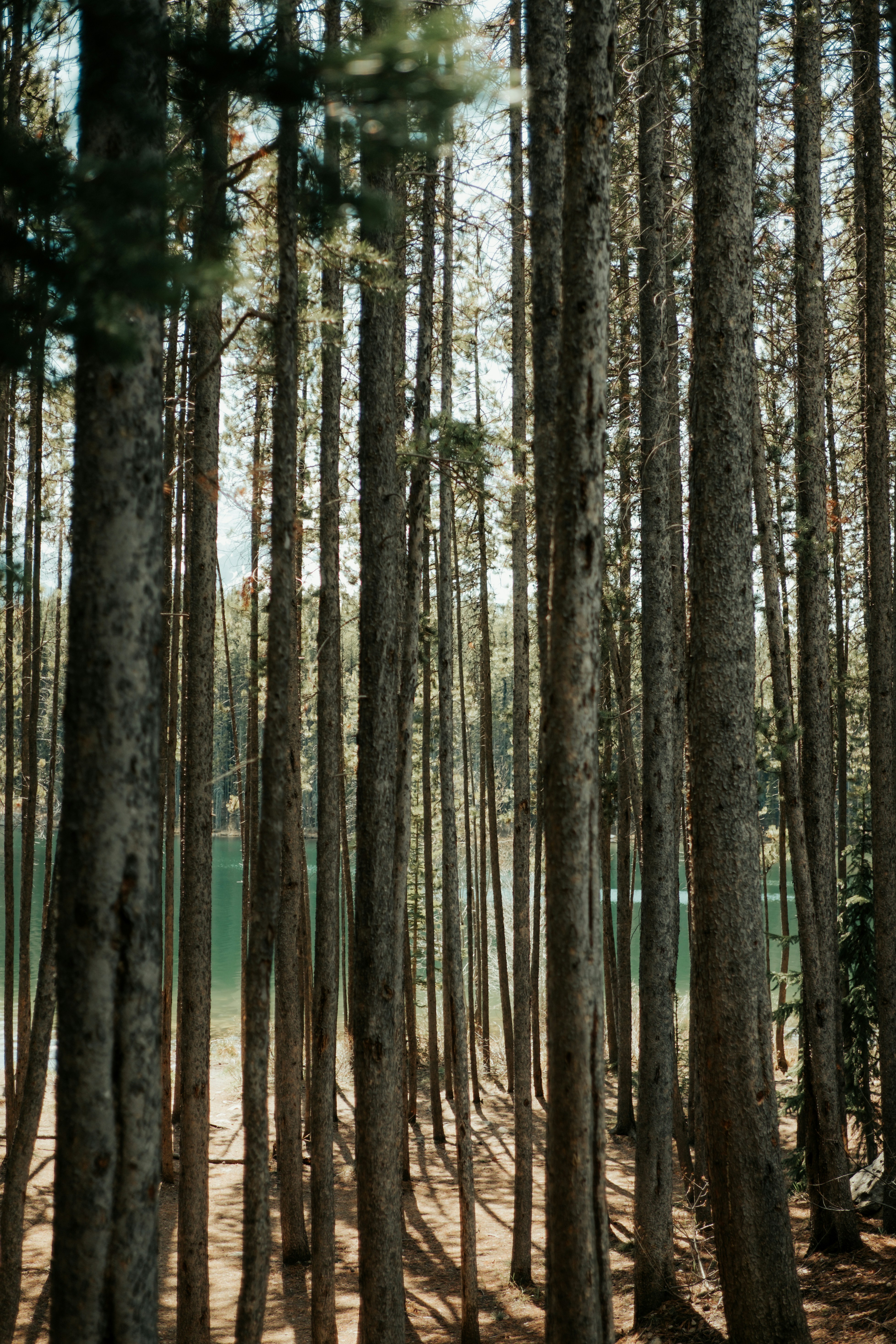 Photo by sapanpatel123