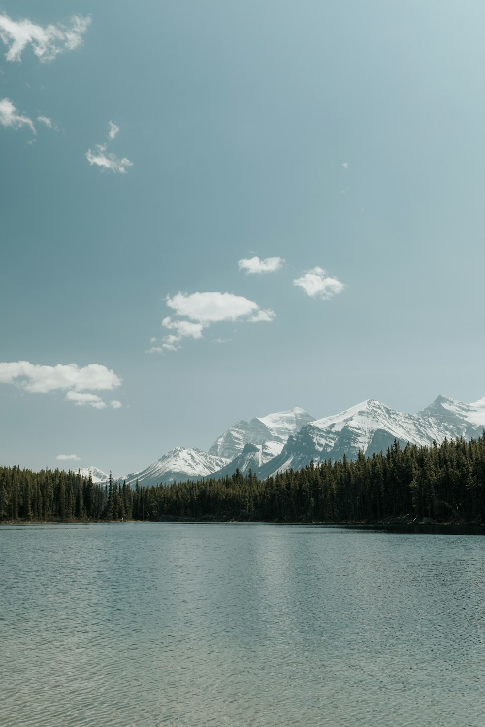 Cuerpo de agua cerca de bosque y montaña