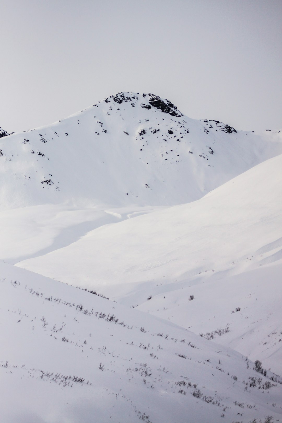 snow-covered mountains