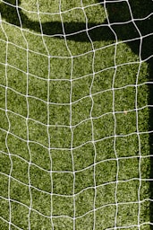 white net