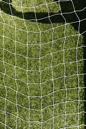 white net