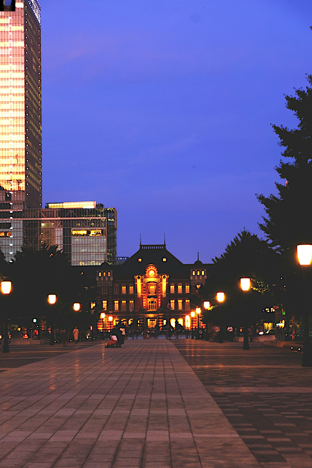 brown buildings at night