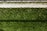 A lush green artificial turf surface is bordered at the top by a concrete edge, which has a metal chain-link fence casting a patterned shadow upon it.