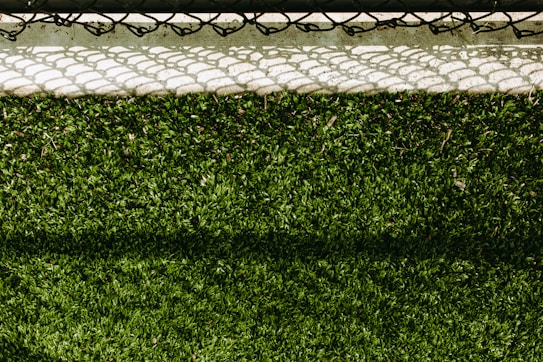 A lush green artificial turf surface is bordered at the top by a concrete edge, which has a metal chain-link fence casting a patterned shadow upon it.