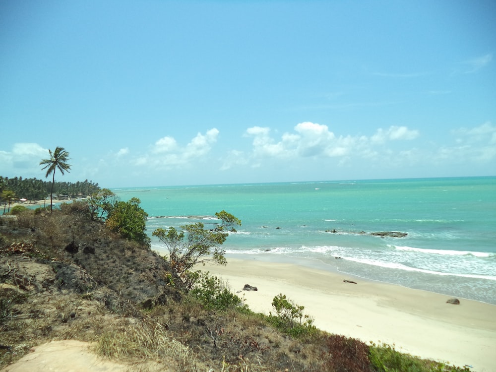 photographie de paysage de la côte