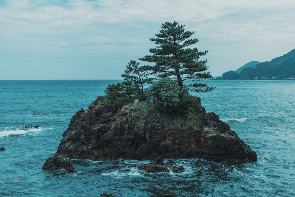 green island with tree under white clouds during daytime