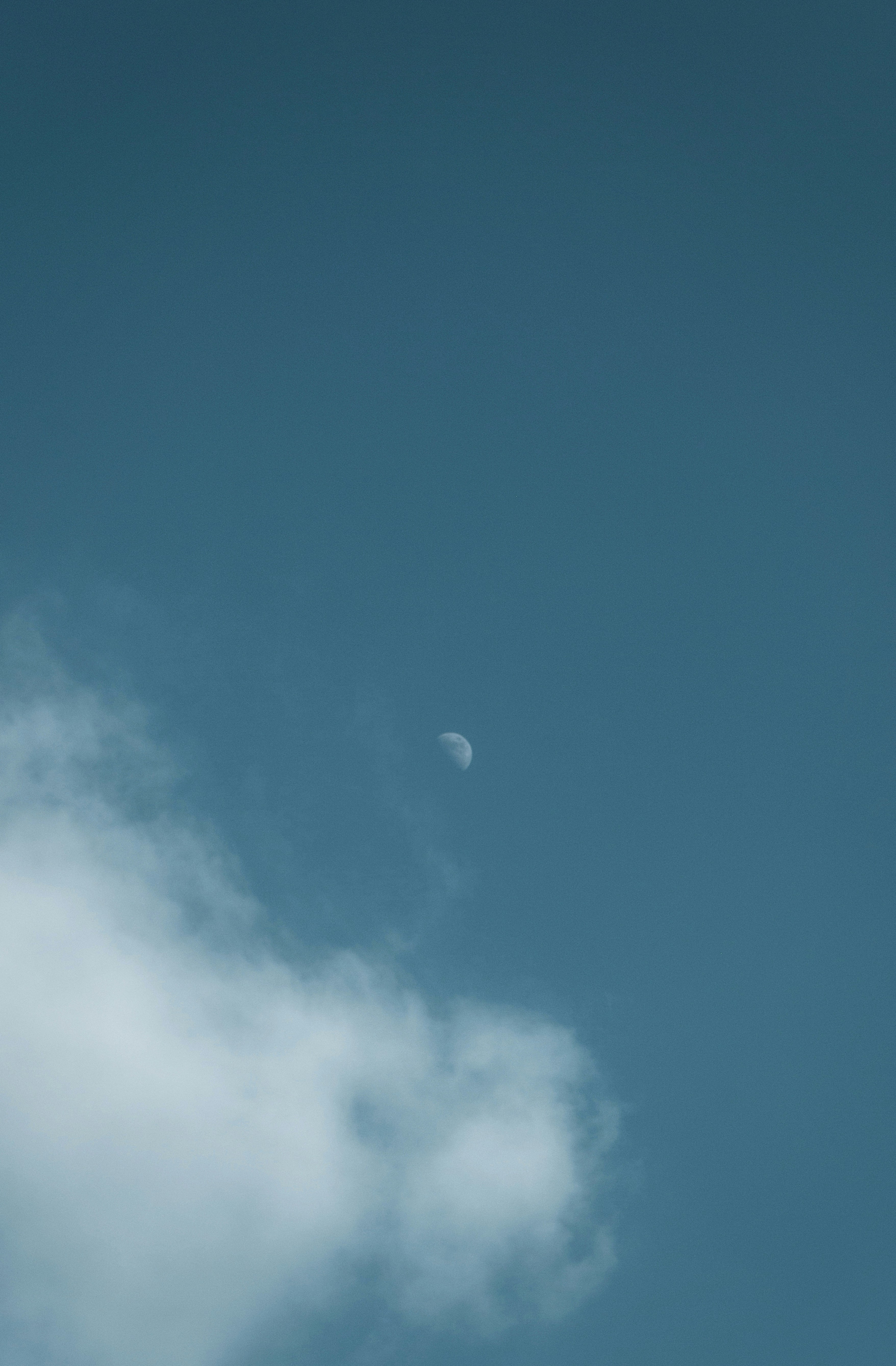 Photo by vinomamba24