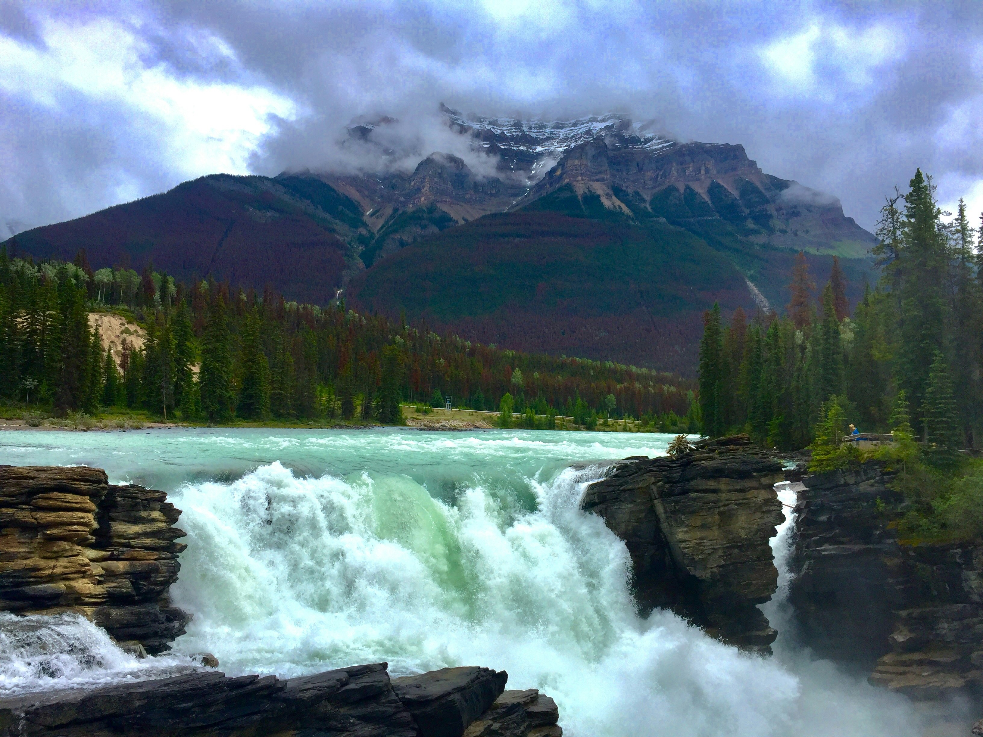 waterfalls beside trees