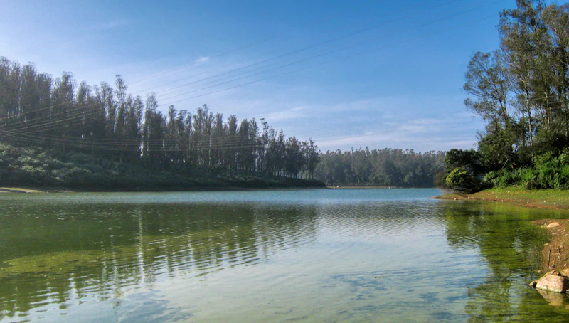 Best Co-Living Spaces for Digital Nomads in Ooty