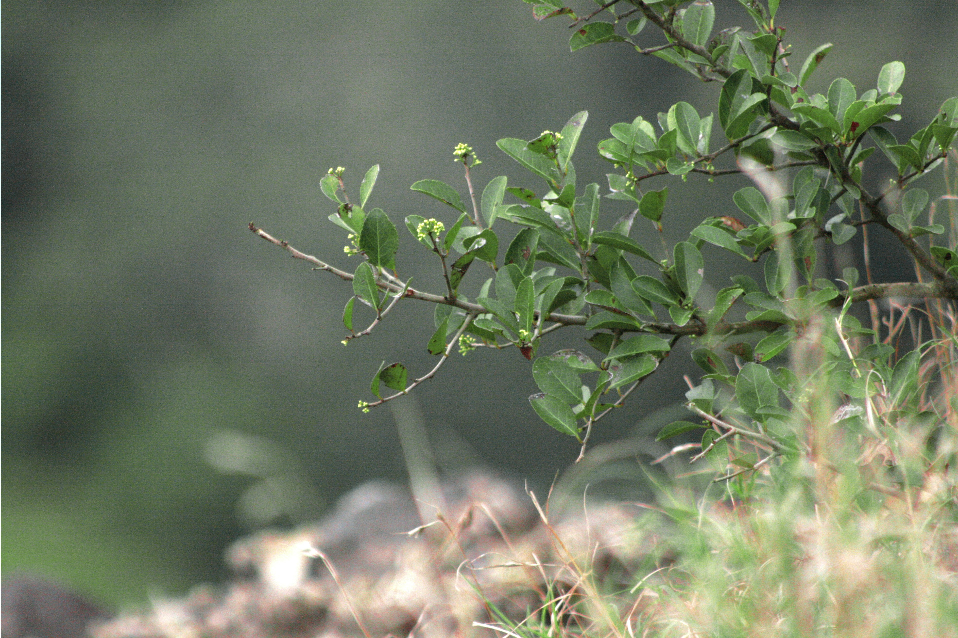 Photo by jinerationx_