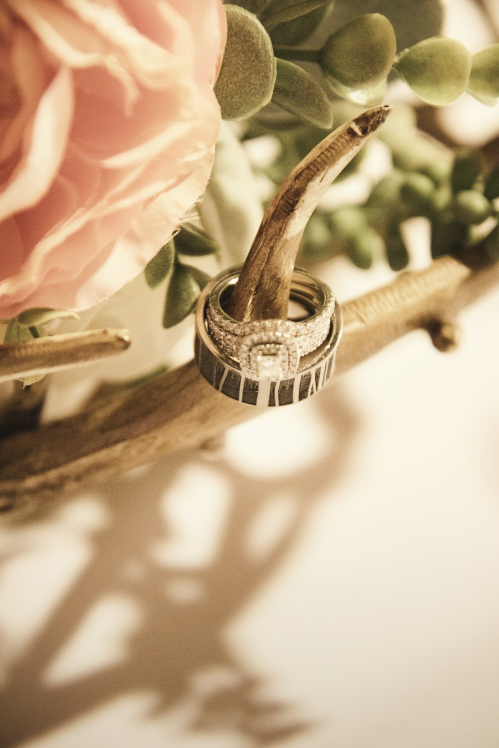 shallow focus photo of silver-colored ring with clear gemstones