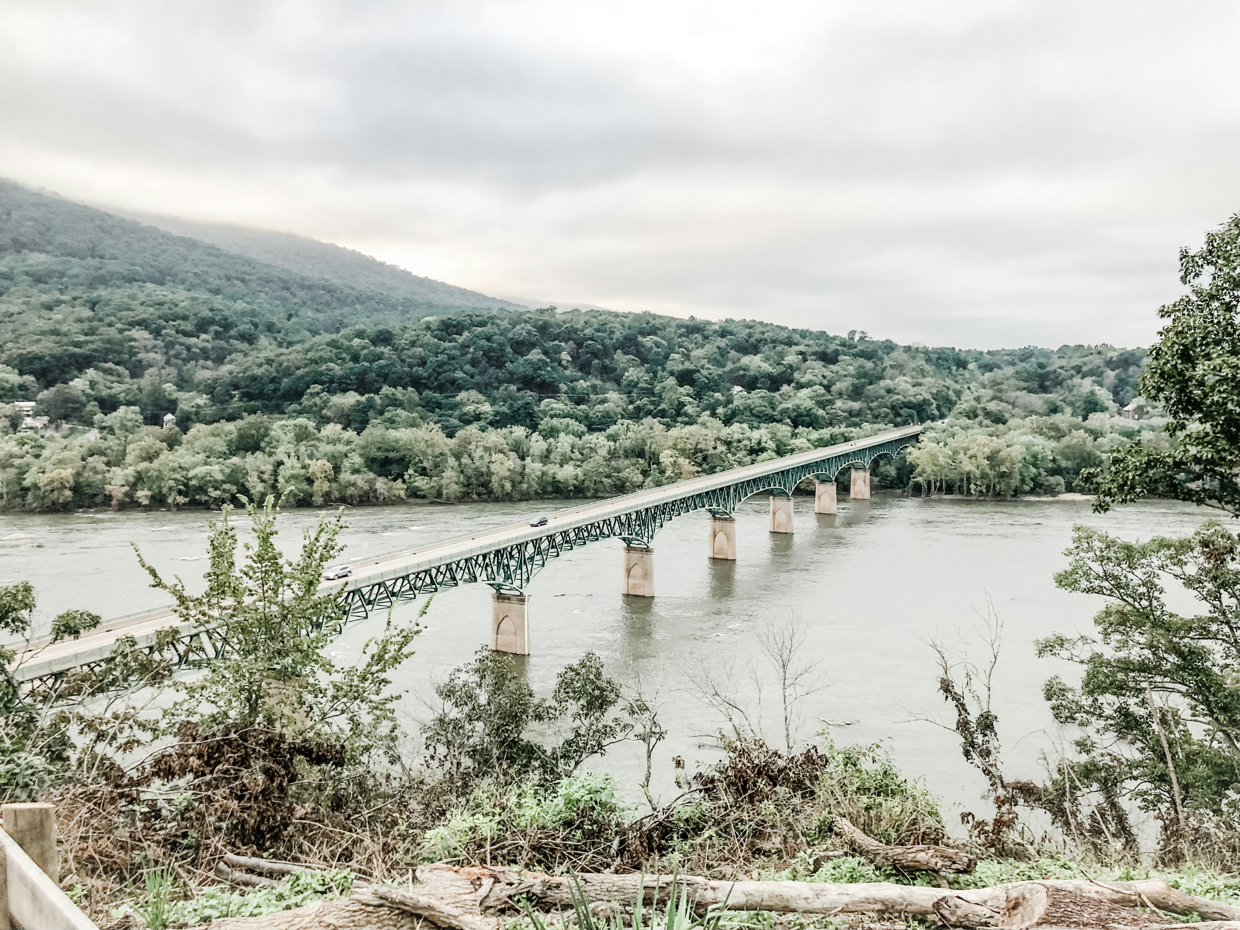 Photo by brandywilletts