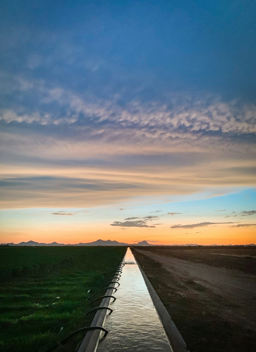 campo de hierba bajo el cielo nublado