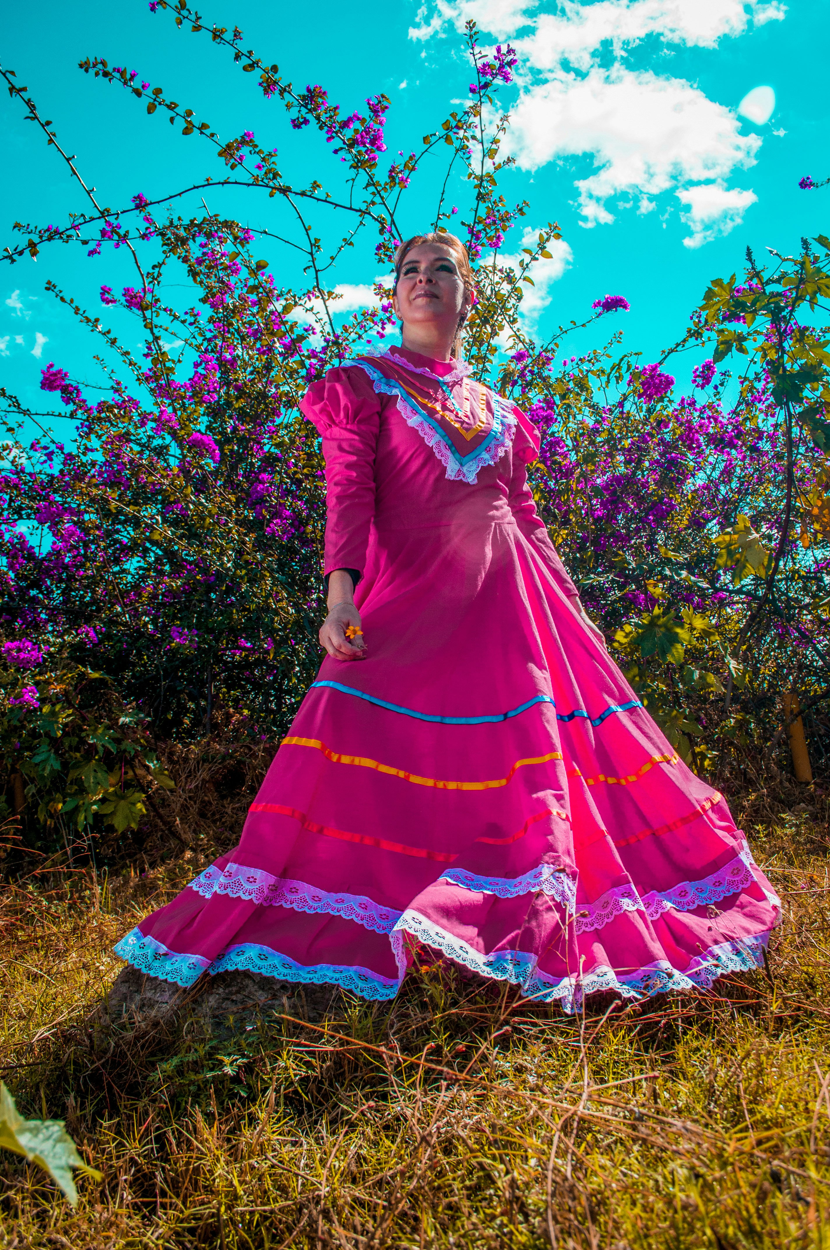 Embroidered Elegance Dress