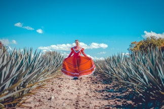 A serene outdoor scene with a model in a blush pink mexicana hasta los huesos dress, standing among agave plants under a golden sunset.