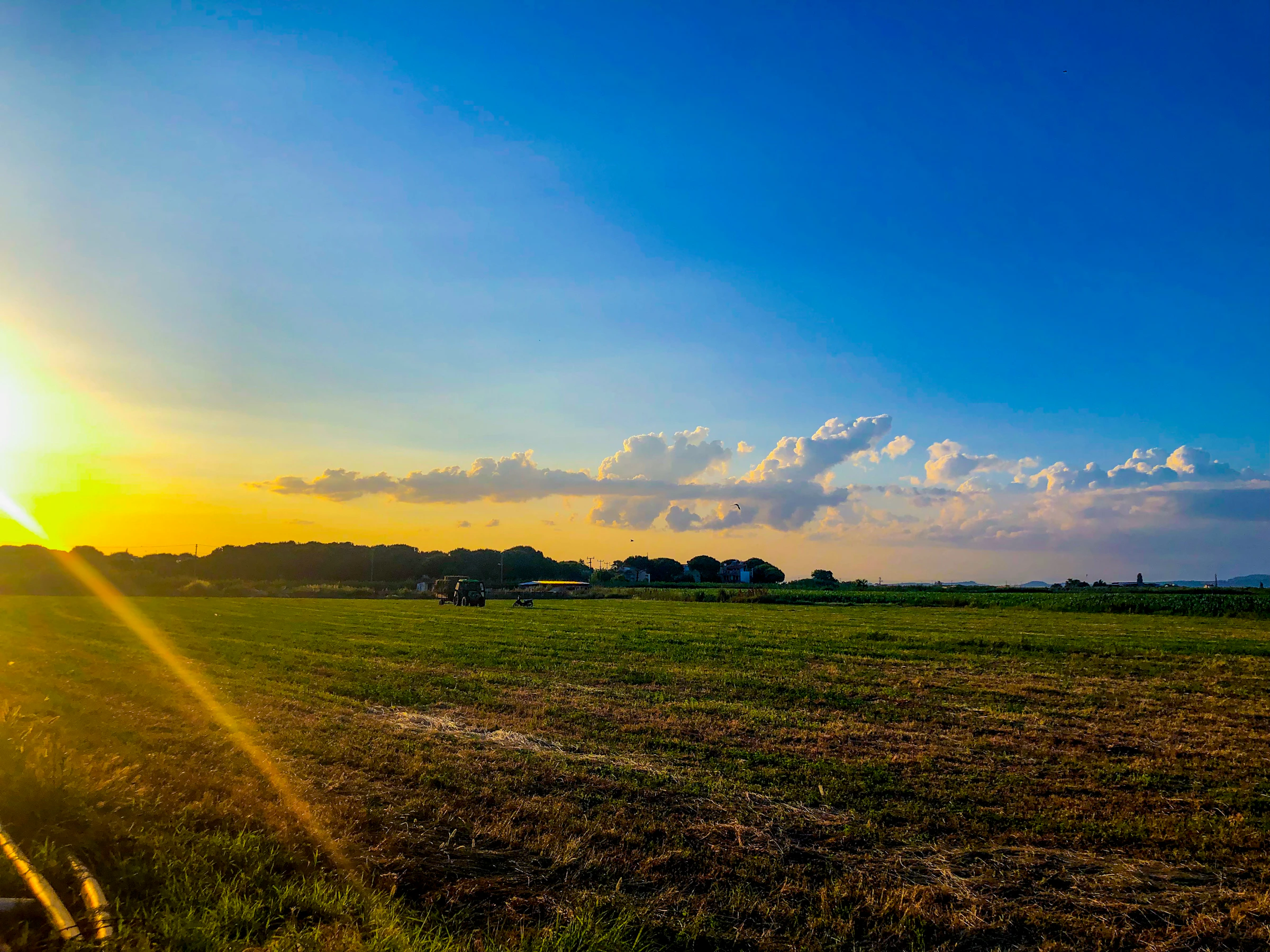 Sun rising over a green field