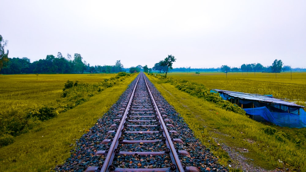 empty train railroad between grass