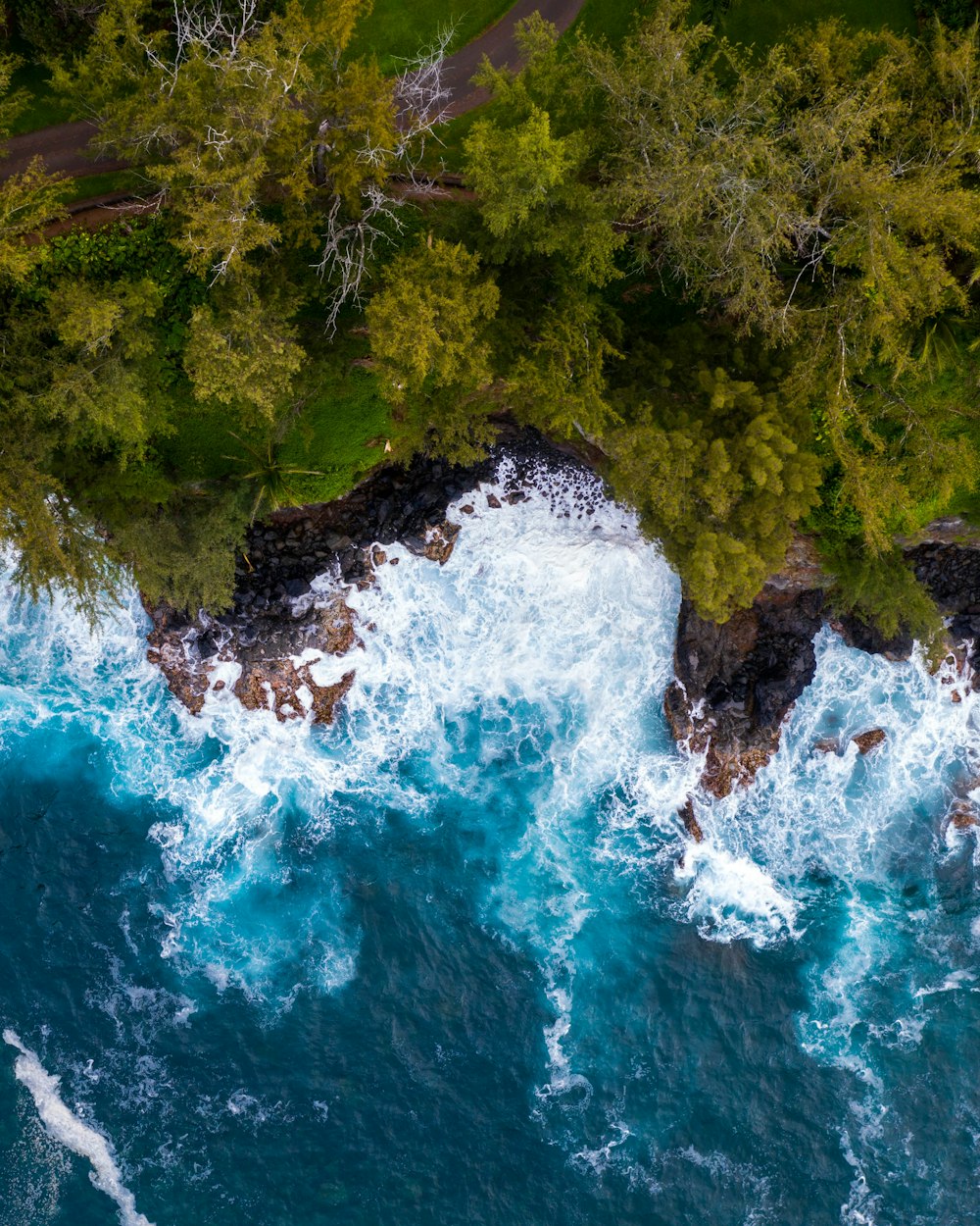 an aerial view of a body of water near a forest