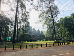 Ancient temple ruins nestled among dense forest greenery, bathed in soft afternoon light.