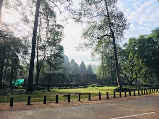 Ancient temple ruins nestled among dense forest greenery, bathed in soft afternoon light.