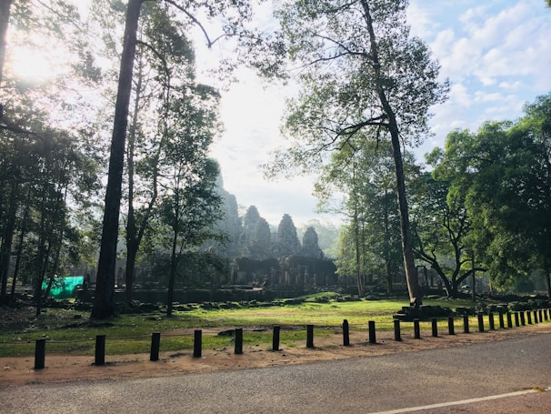 Ancient temple ruins nestled among dense forest greenery, bathed in soft afternoon light.