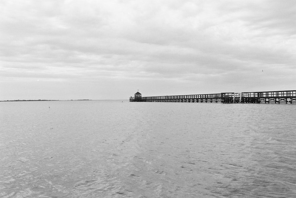 black and brown wooden dock beside body of water