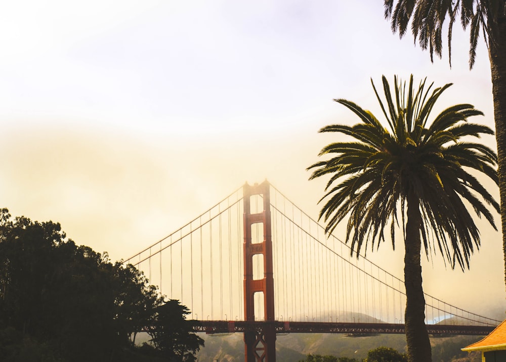 Golden Gate Bridge, San Francisco during day