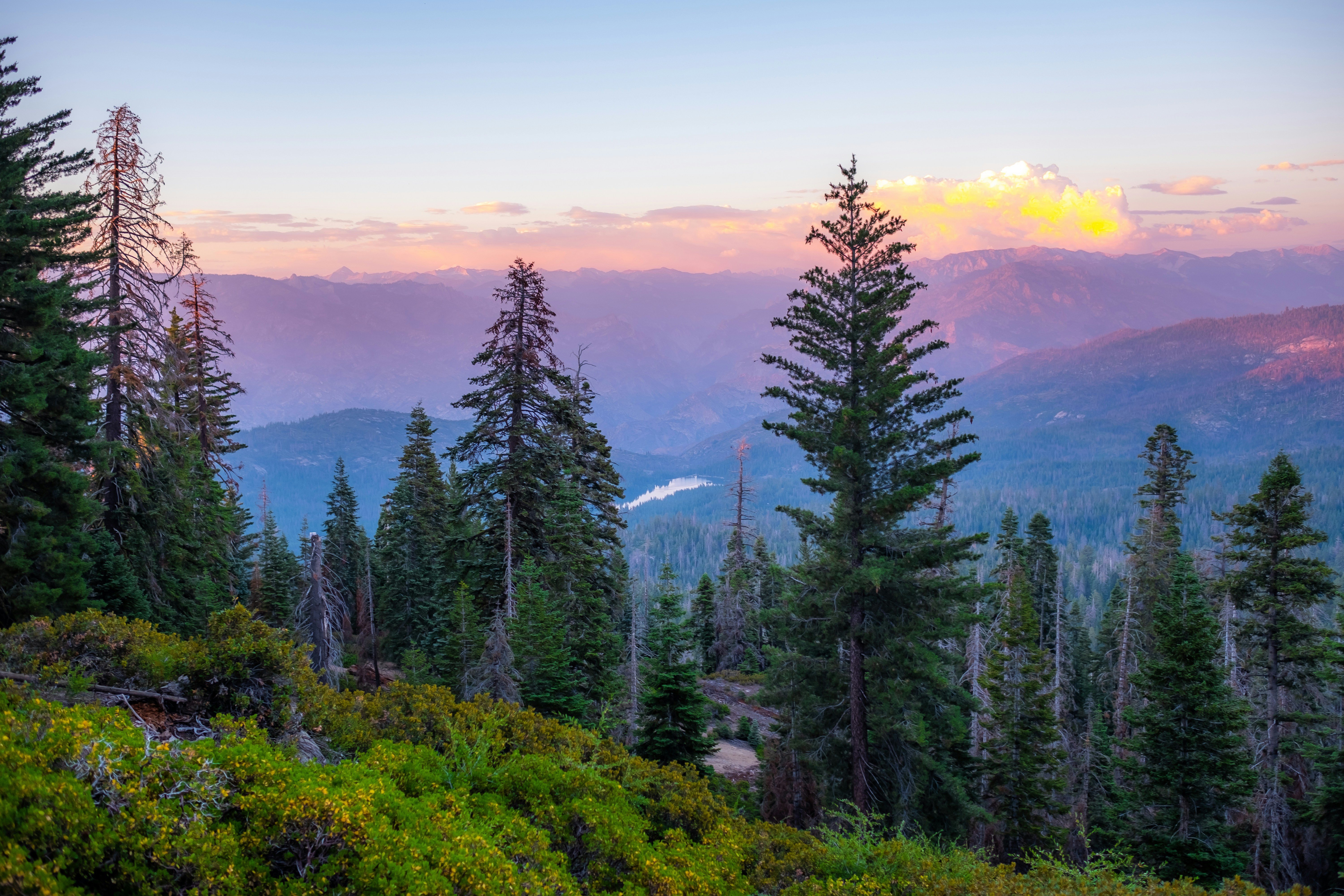 Photo by mikeliaophotography