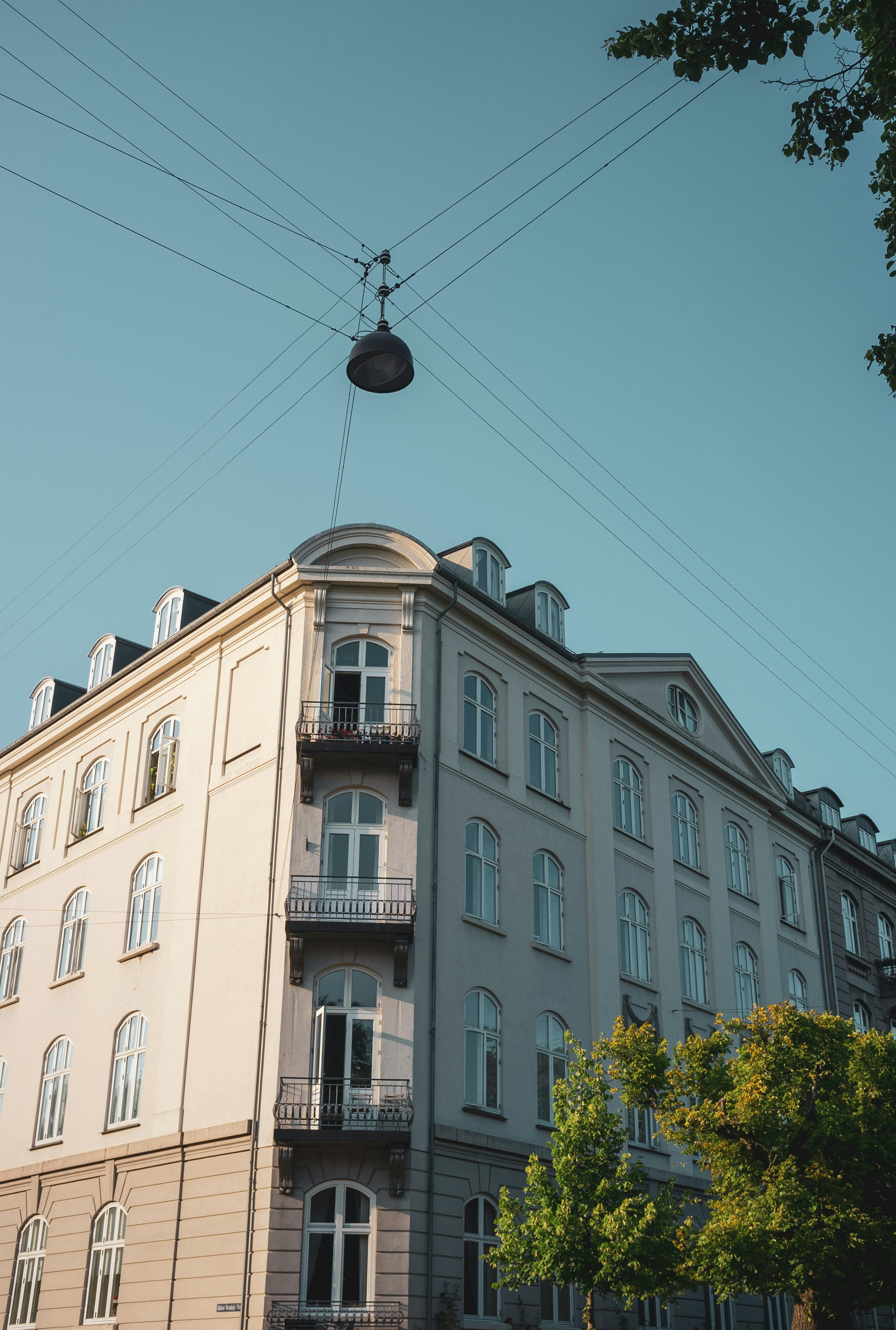 Photo by moisamihai092