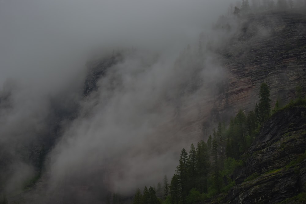 a mountain covered in clouds and trees on a foggy day
