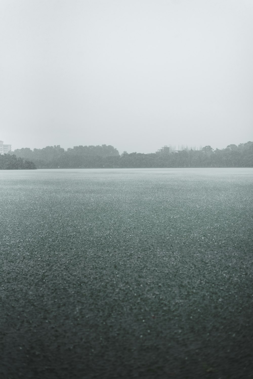 Un grande specchio d'acqua con alberi sullo sfondo