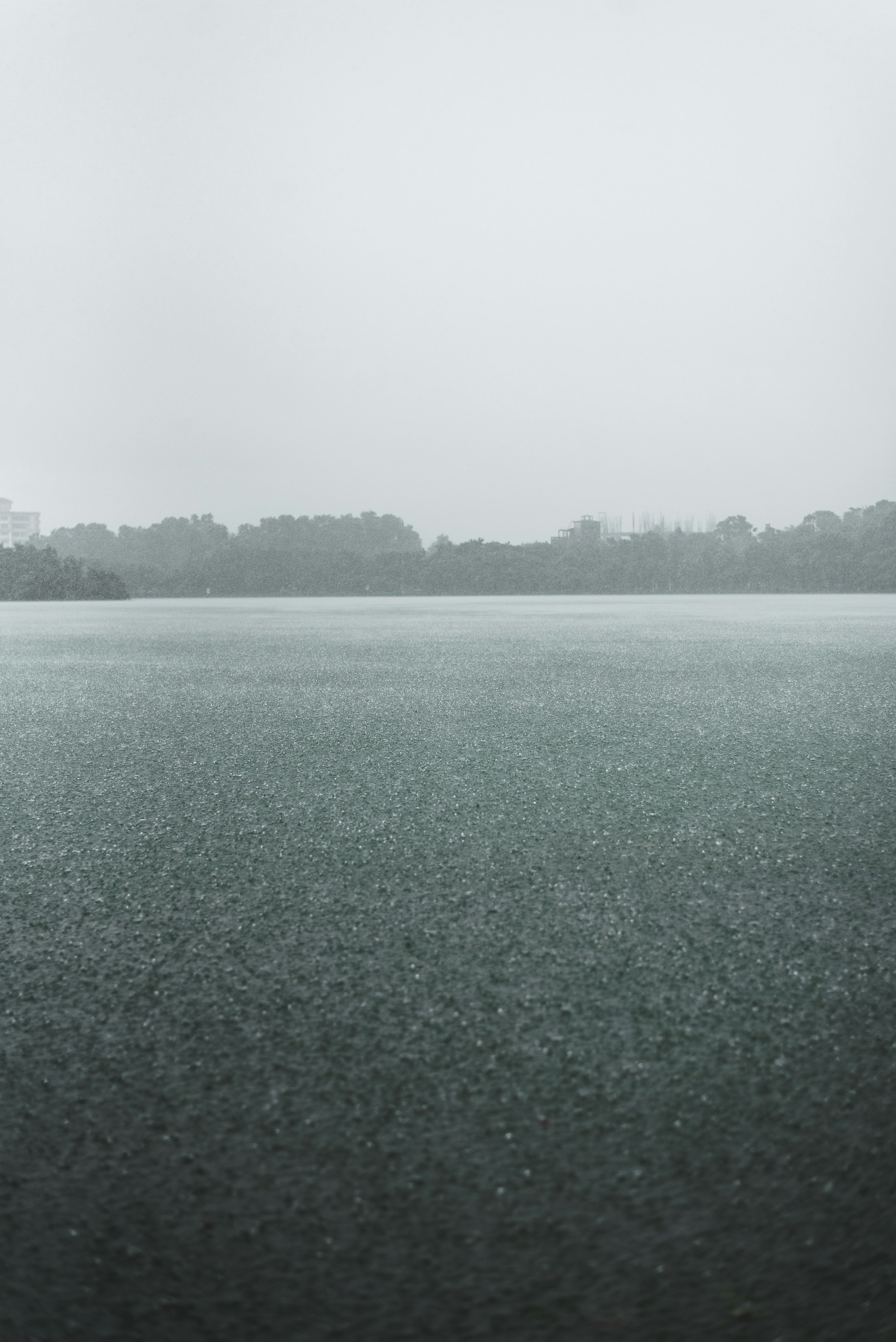 a large body of water with trees in the background