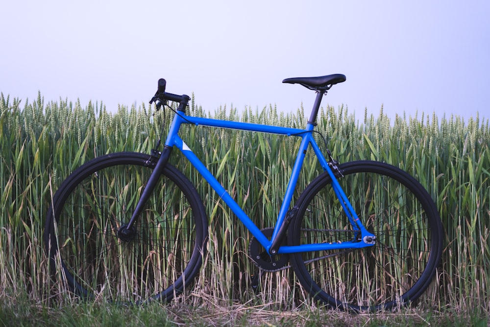 blue and black road bike near green-grass fields