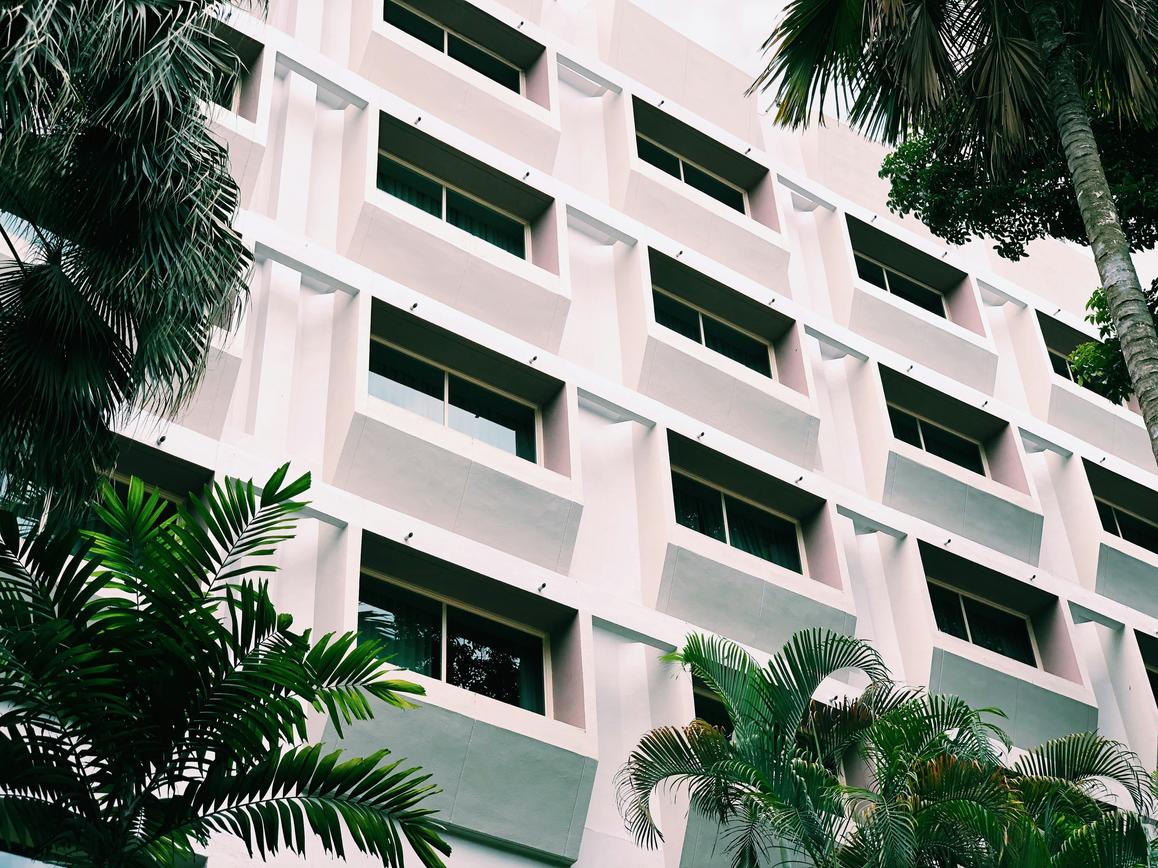 Photo by rainrainbowchou