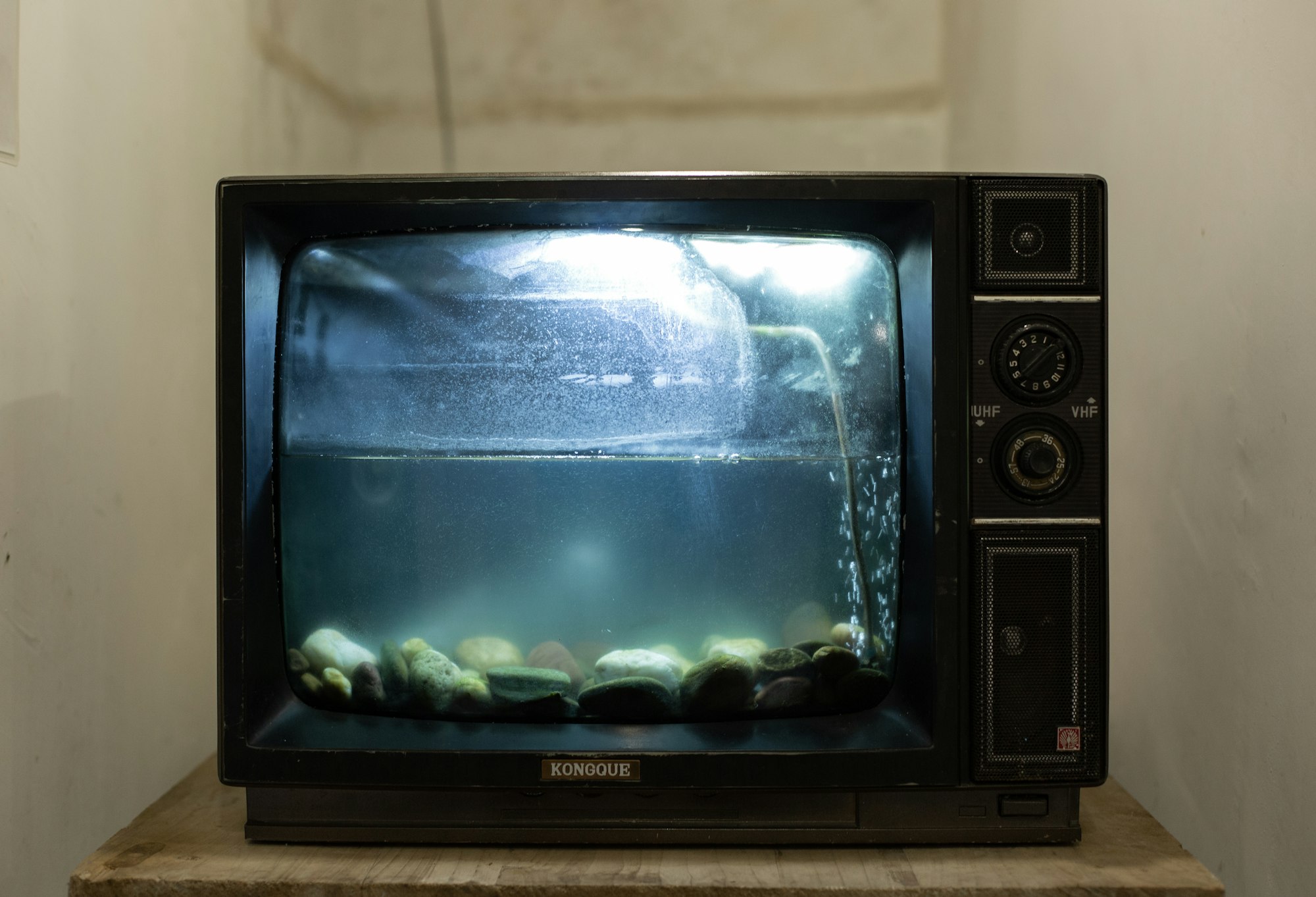A tv fish tank