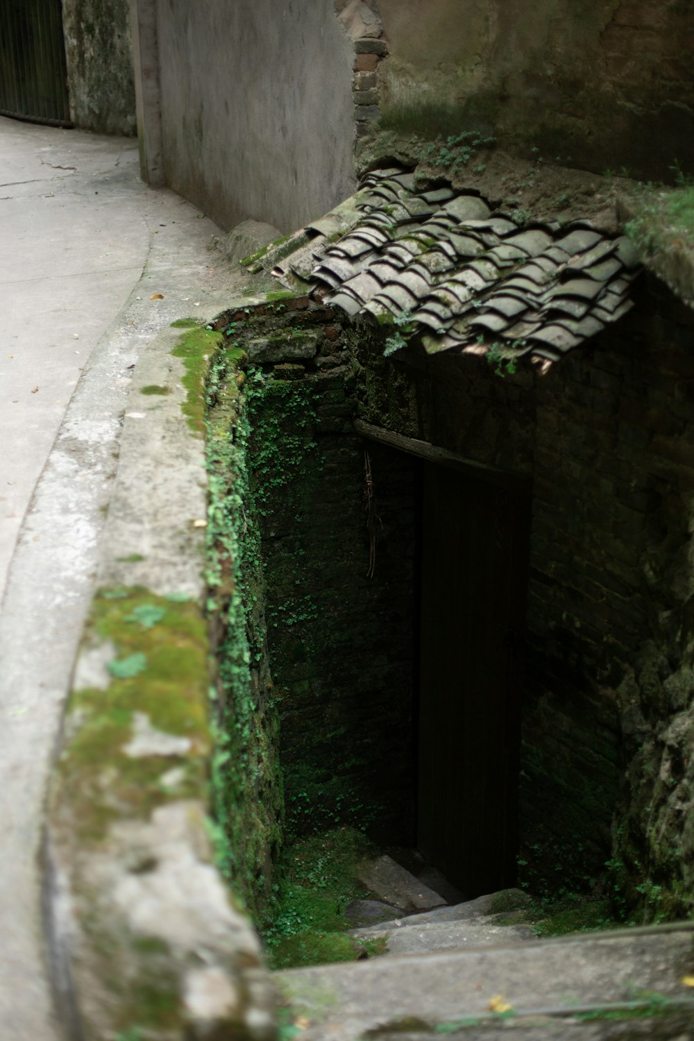 a small building with moss growing on the side of it