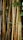 A dense cluster of bamboo stalks with a mixture of green and brown hues, surrounded by small green leaves. The bamboo appears robust and textured, capturing the natural beauty and resilience of these plants.