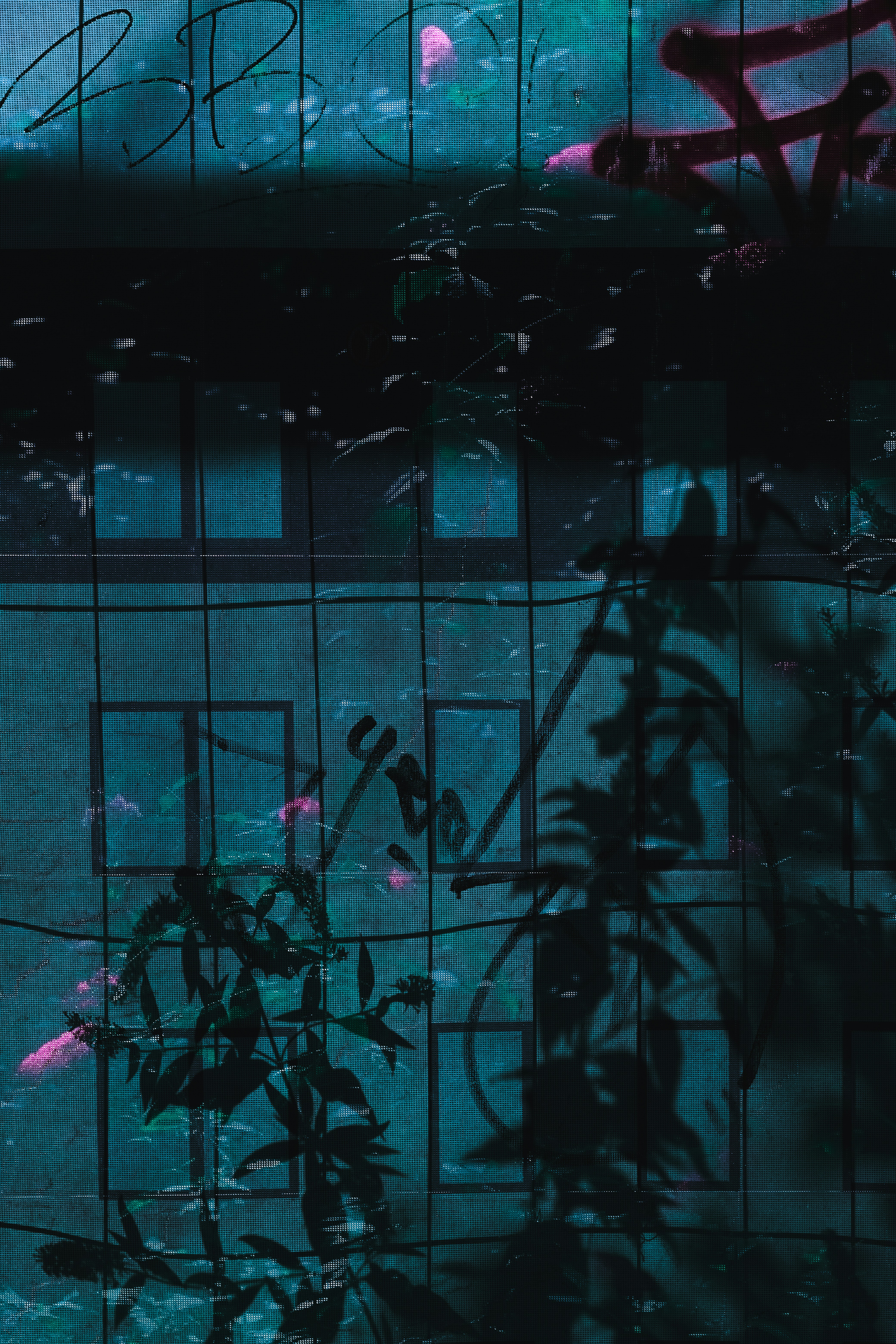 Photo by kevinmueller