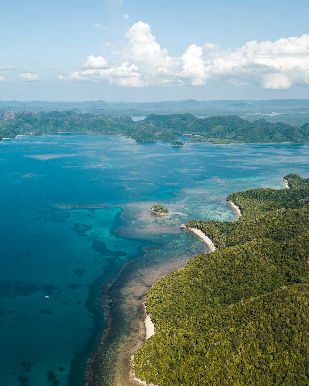 ocean near mountain with trees