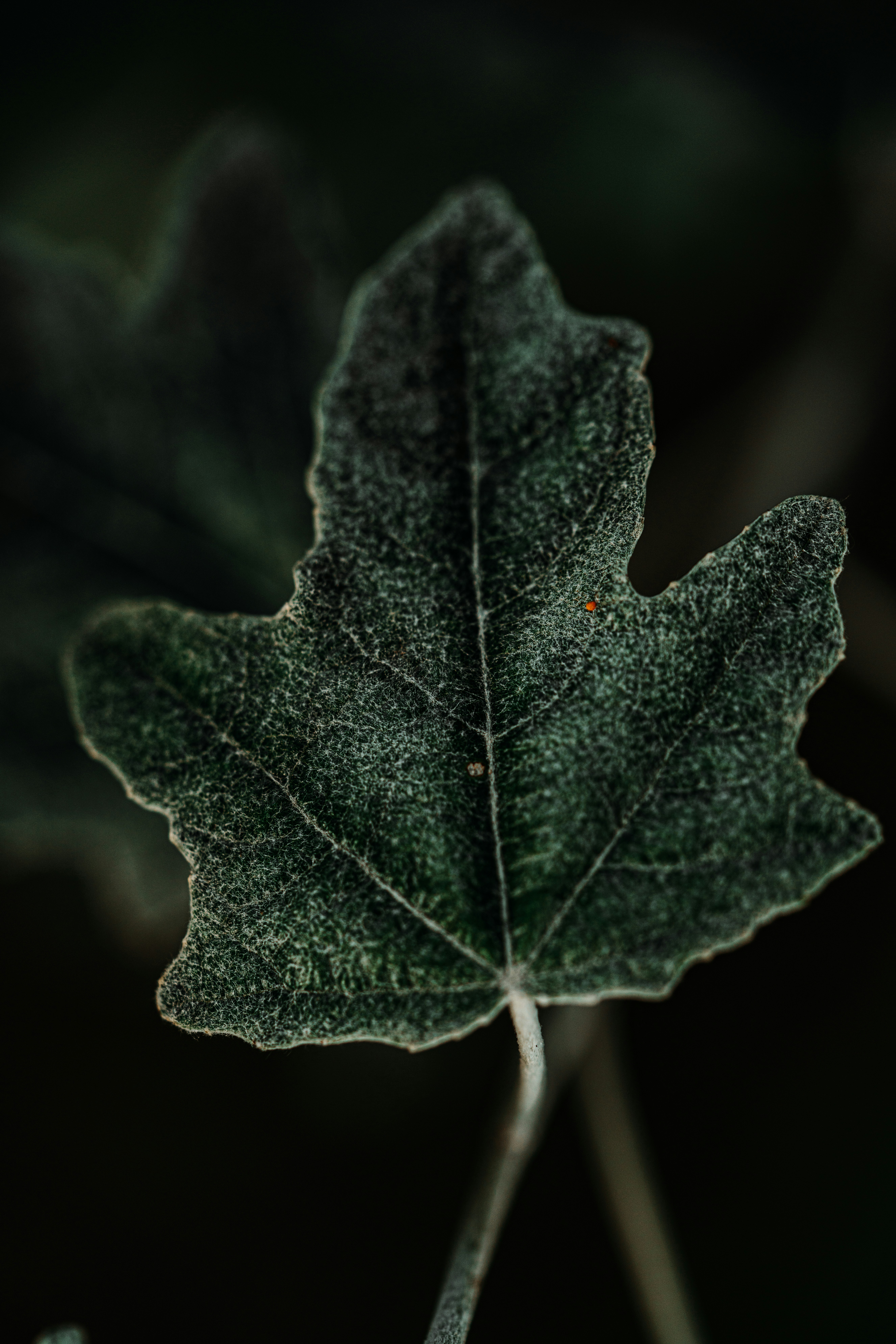 Photo by pixworthmedia