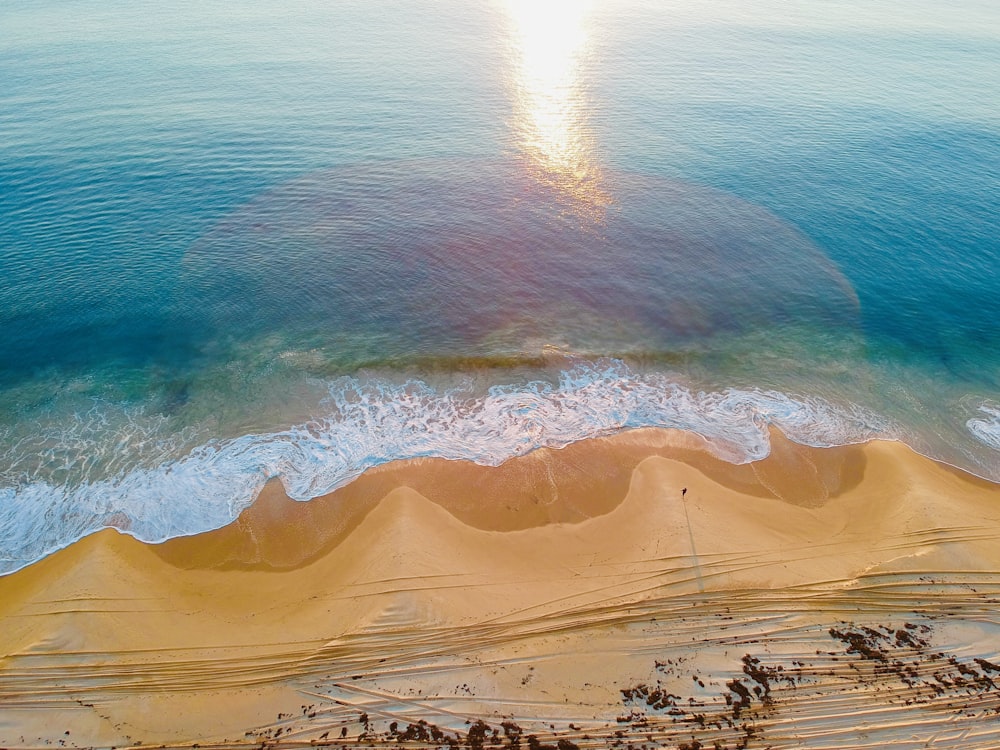 shoreline during daytime