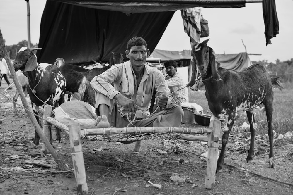 grayscale photo of man sitting on bed frame beside goats