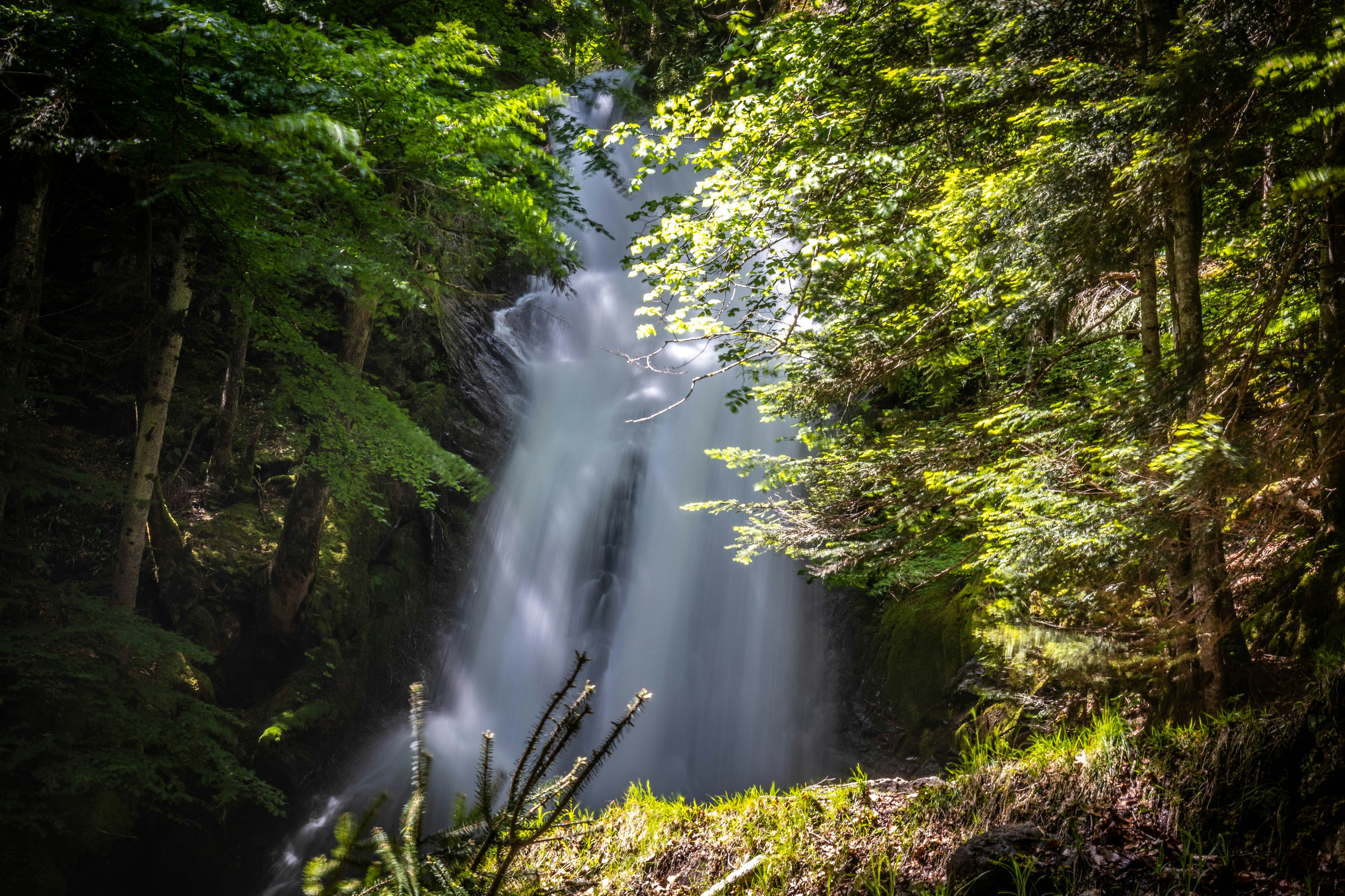 Photo by adriencesard