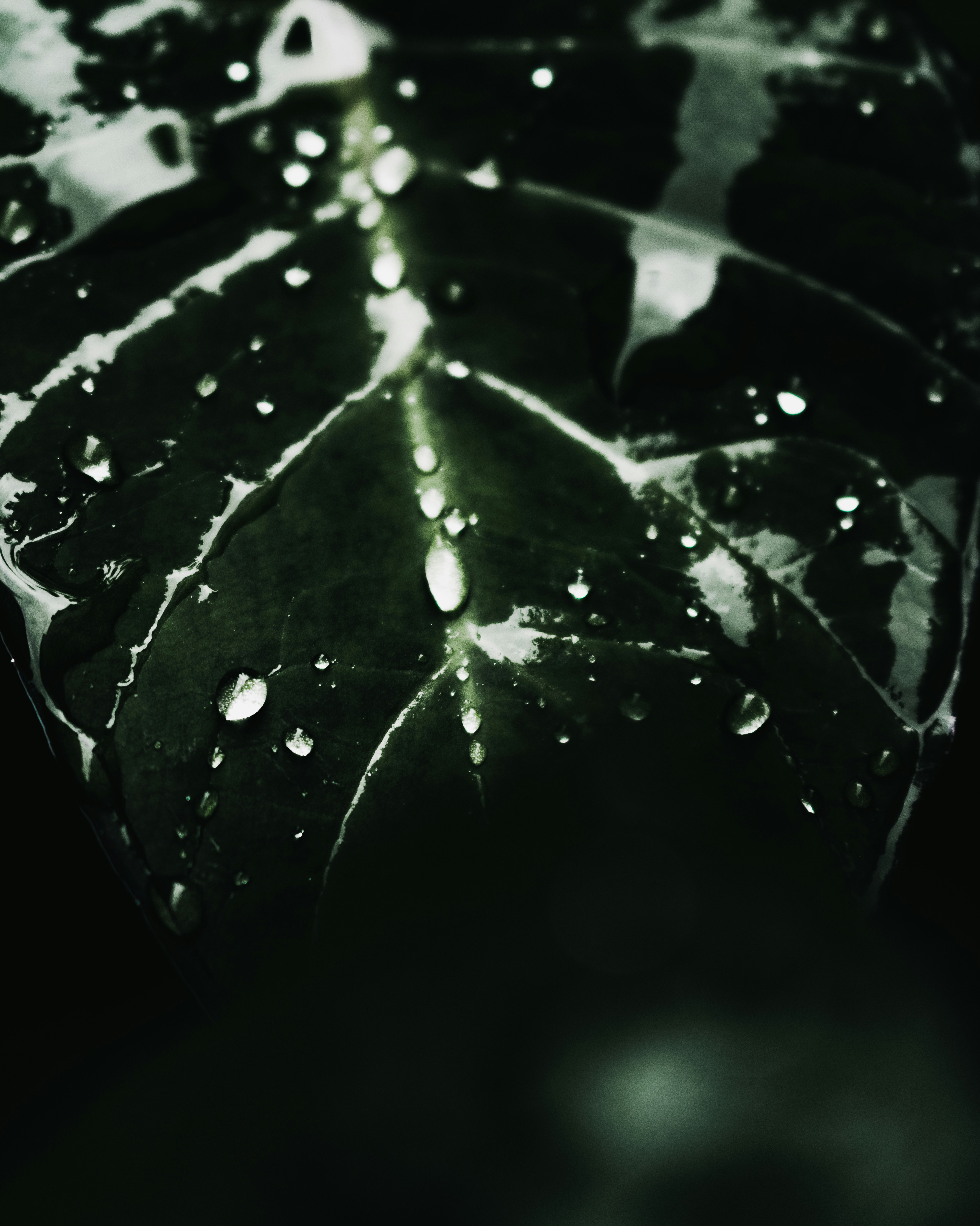 Photo by designingsucks