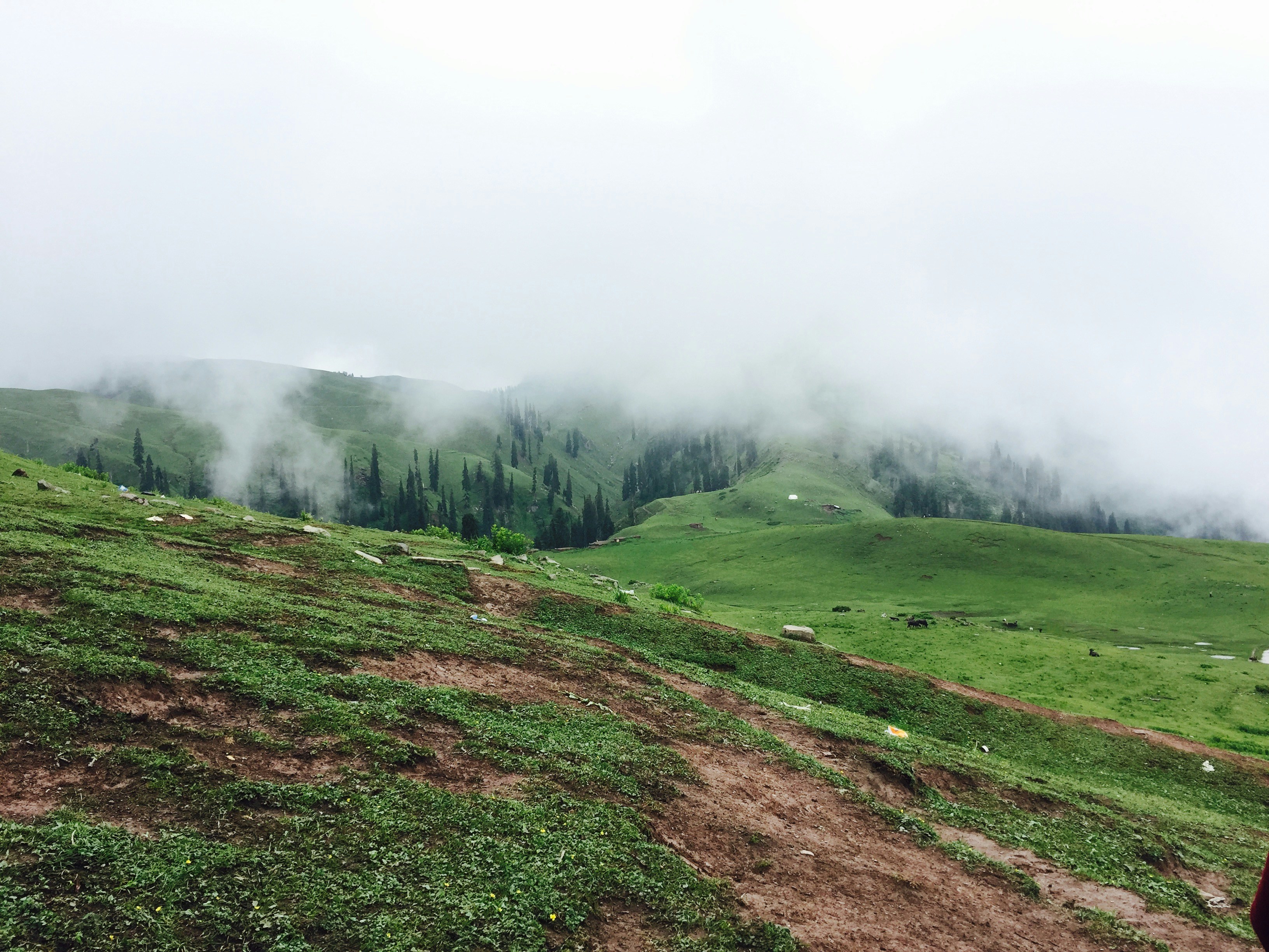Photo by usmanriaz