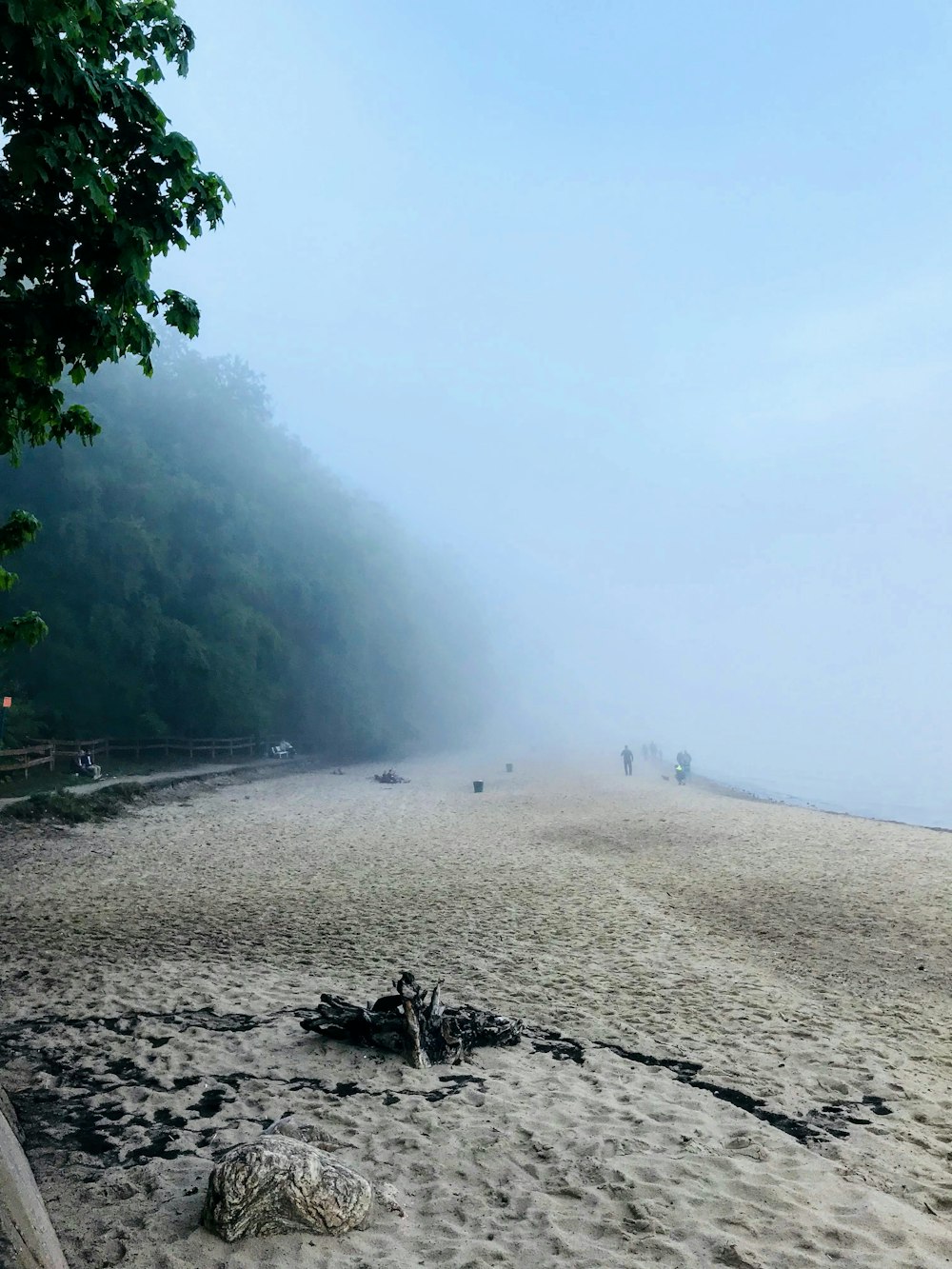 beach under fogs
