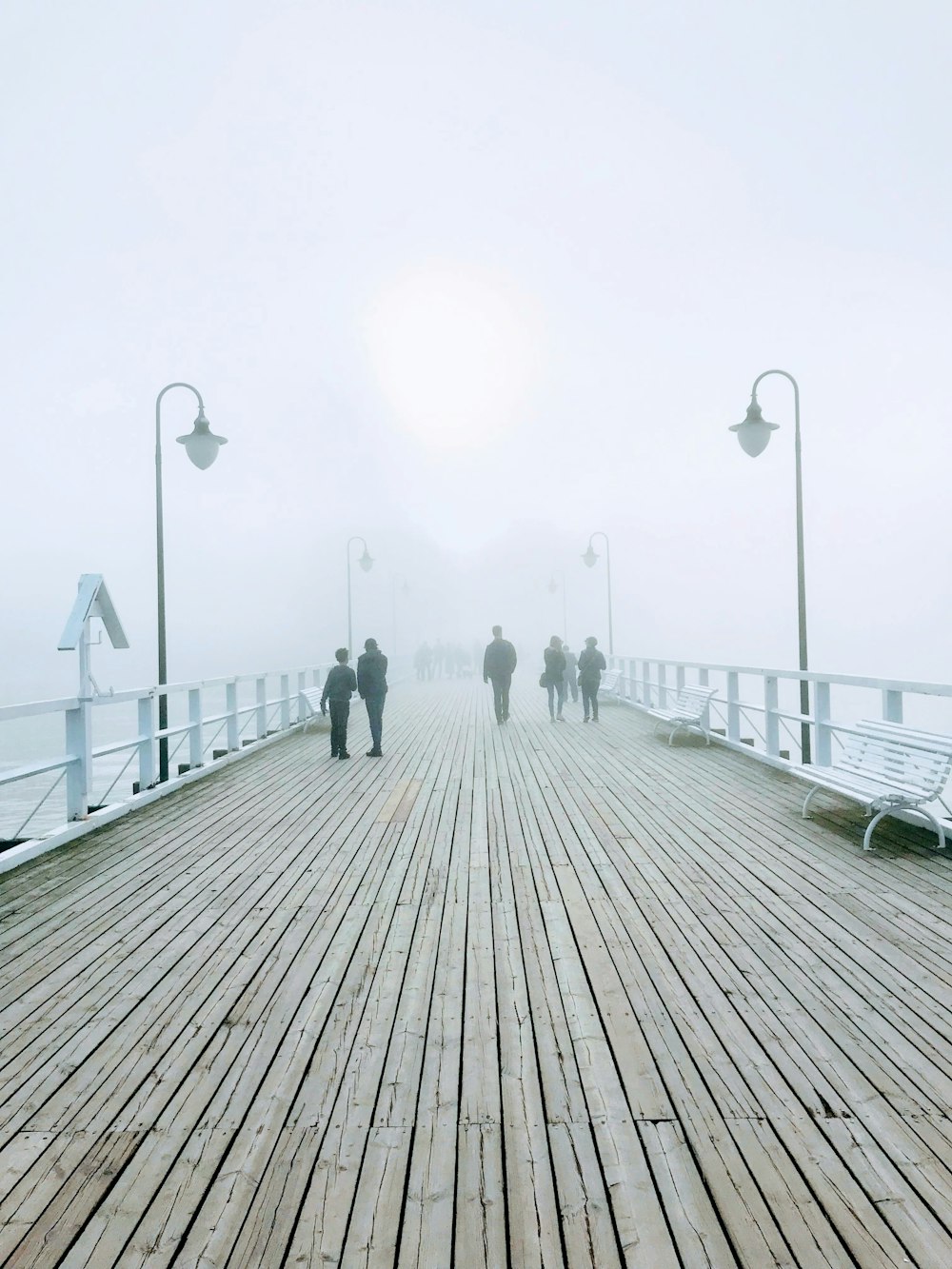 people walking on brown wooden dock